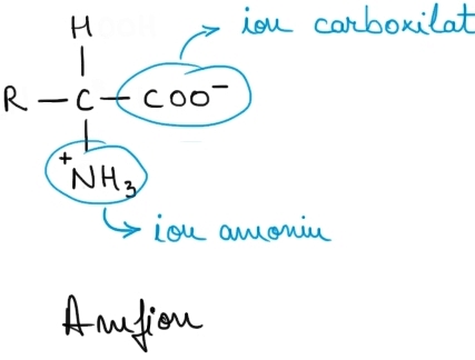 aa Amfion.jpg