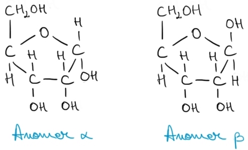 anomerii ribozei.jpg