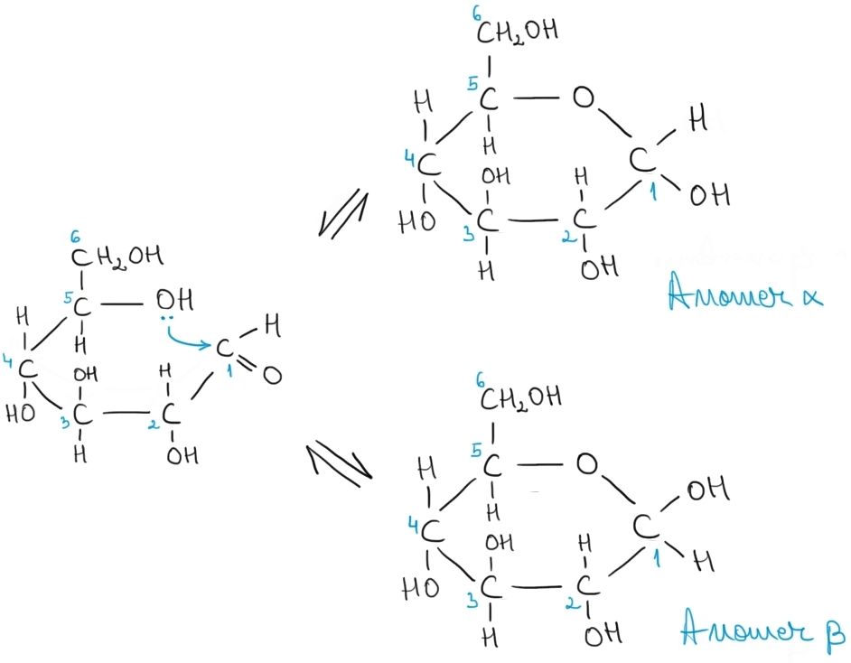 ciclizarea glucozei.jpg