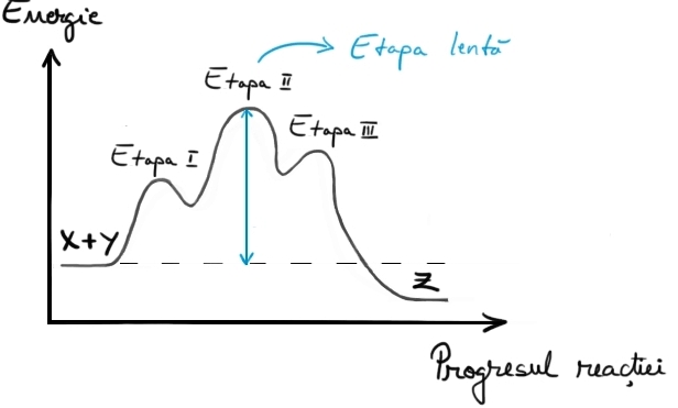 diagrama 3 etape.jpg
