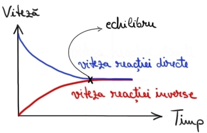 grafic 2 refacut.jpg